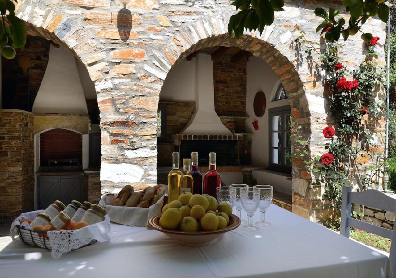 Romano Garden House - Land Tales Agios Romanos Esterno foto