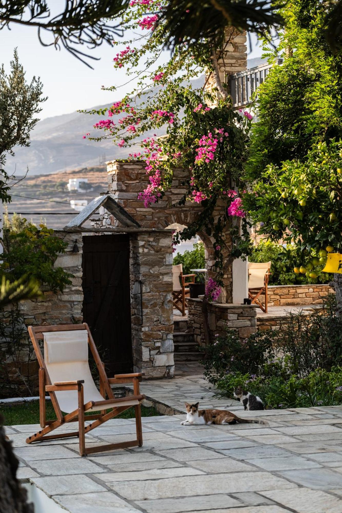 Romano Garden House - Land Tales Agios Romanos Esterno foto