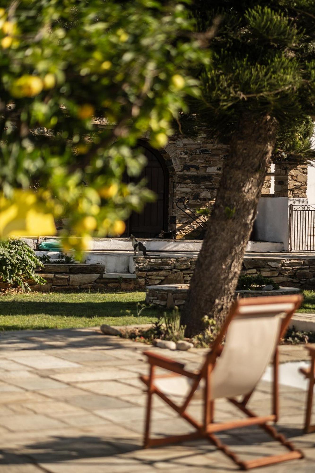 Romano Garden House - Land Tales Agios Romanos Esterno foto
