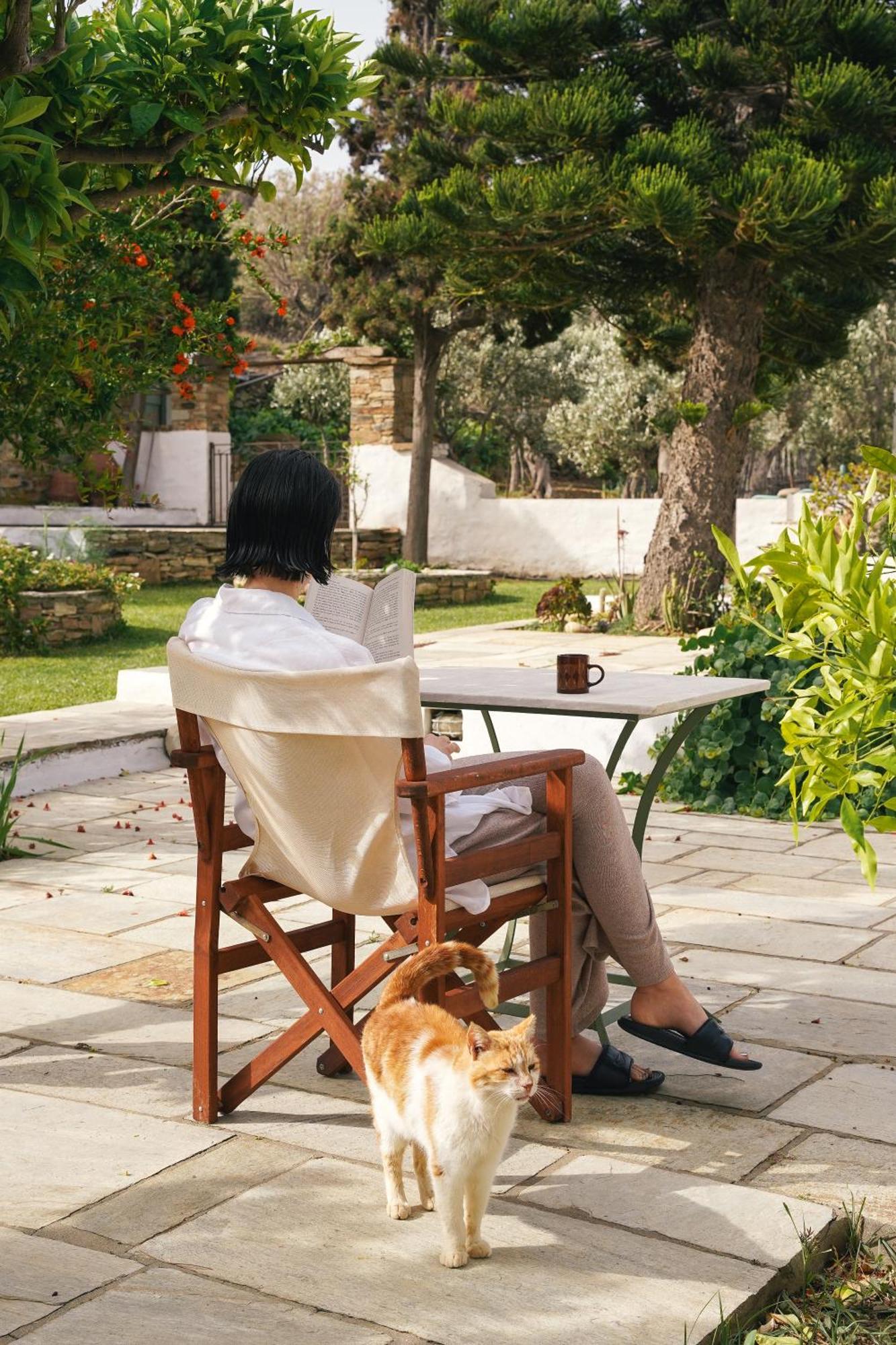 Romano Garden House - Land Tales Agios Romanos Esterno foto